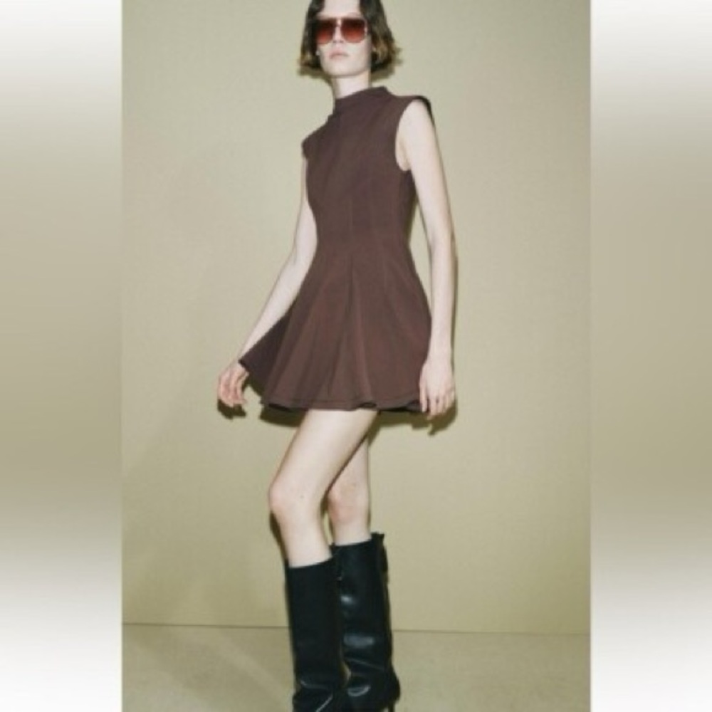 Zara Brown Mini Dress